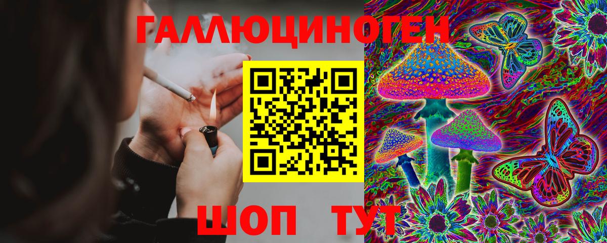 Псилоцибиновые грибы GOLDEN TEACHER  Псилоцибиновые грибы прущие грибы  Вход с VPN  Домодедово 